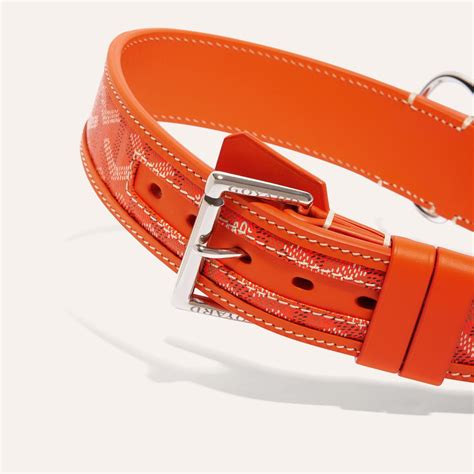 goyard cat collar price|Goyard franklin collar.